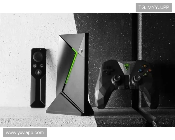 亚星游戏官网登录平台功能介绍：丰富的游戏资源与多样化的用户体验