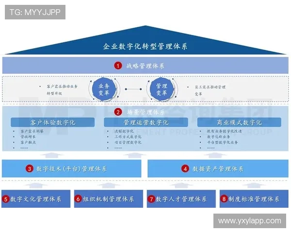 亚星管理平台漏洞利用的风险分析及企业应对策略建议