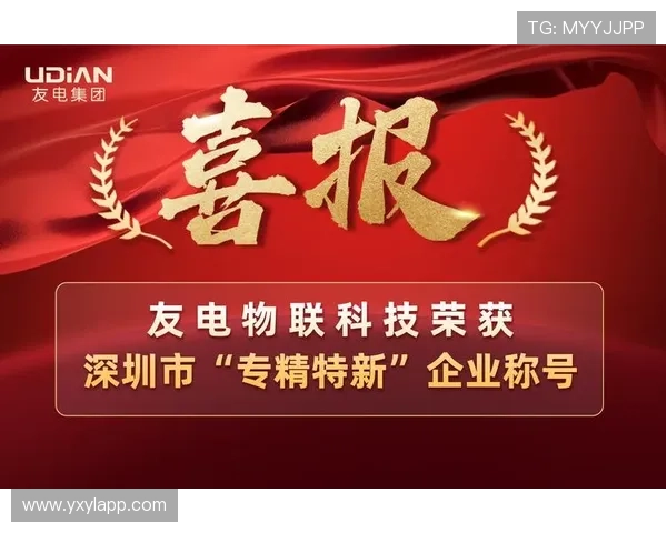 K8凯发一触即发引企：帮助企业实现数字化转型的具体操作流程与注意事项