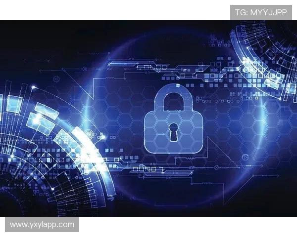 K8凯发官网代接服务的安全措施与风险控制策略详解